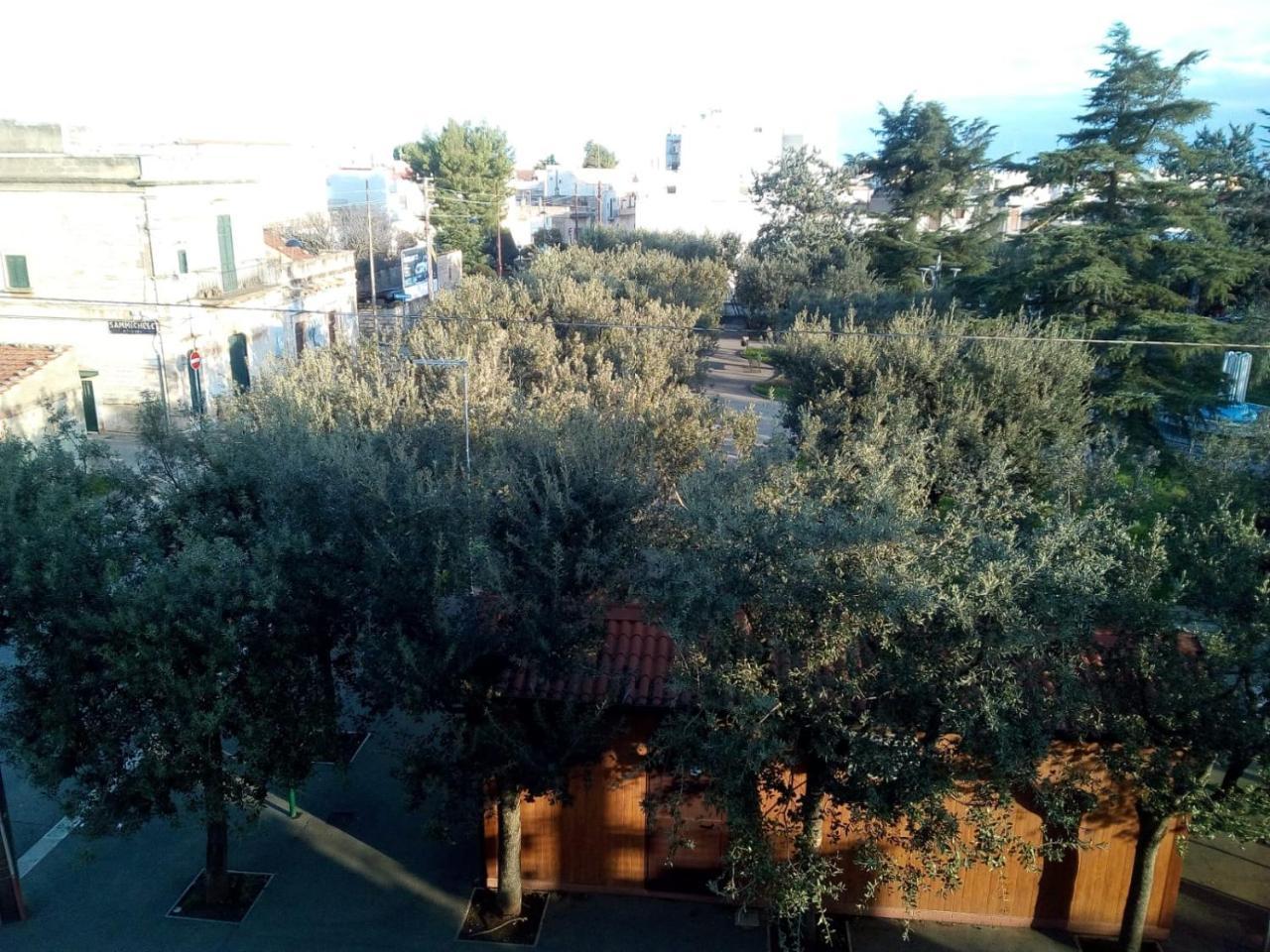 "La Casa Di Mariagrazia" Appartamento 4 Locali Sammichele Di Bari Luaran gambar
