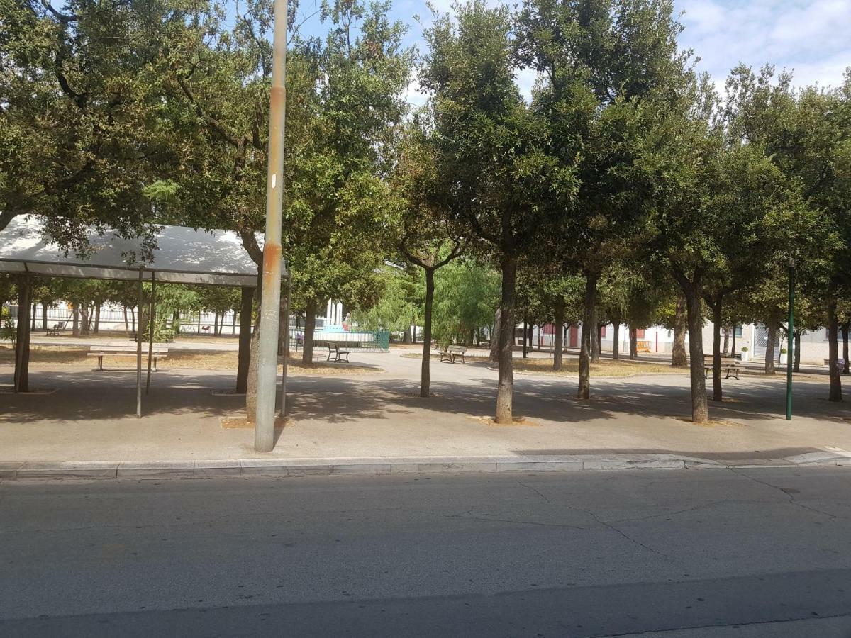 "La Casa Di Mariagrazia" Appartamento 4 Locali Sammichele Di Bari Luaran gambar